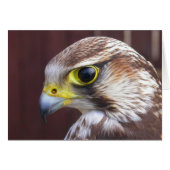 Lanner Falcon (Voorkant Horizontaal)