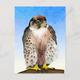 Lanner Falcon Bird Waterverf Painting Briefkaart