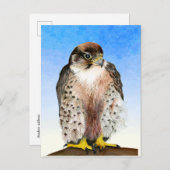 Lanner Falcon Bird Waterverf Painting Briefkaart (Voorkant / Achterkant)