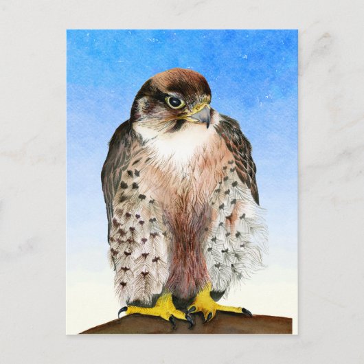 Lanner Falcon Bird Waterverf Painting Briefkaart (Voorkant)