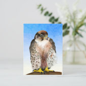 Lanner Falcon Bird Waterverf Painting Briefkaart (Staand voorkant)