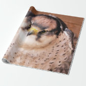 LANNER FALCON CADEAUPAPIER (Uitgerold)