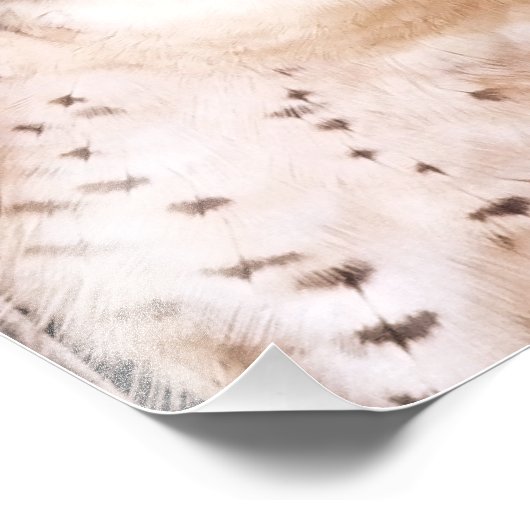 LANNER FALCON FOTO AFDRUK (Hoek)