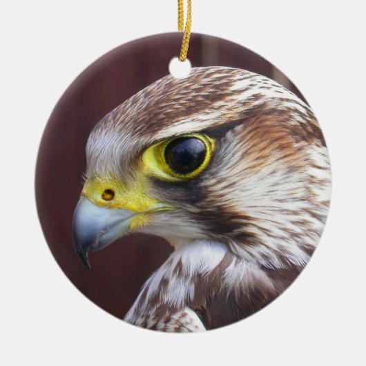 Lanner Falcon Keramisch Ornament (Voorkant)