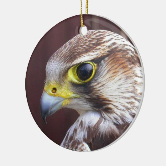 Lanner Falcon Keramisch Ornament (Links)
