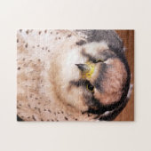 LANNER FALCON LEGPUZZEL (Horizontaal)