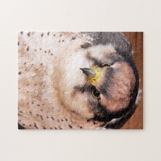 LANNER FALCON LEGPUZZEL (Horizontaal)