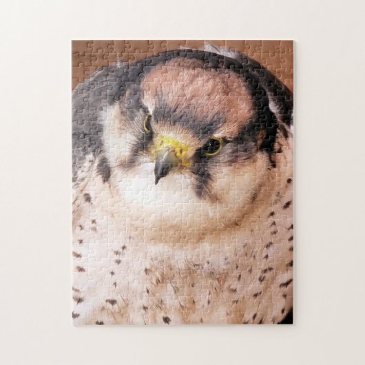 LANNER FALCON LEGPUZZEL (Verticaal)