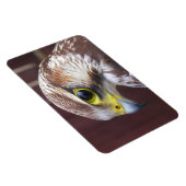 Lanner Falcon Magneet (Rechterzijde)