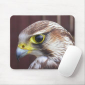 Lanner Falcon Muismat (Met muis)