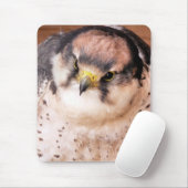 LANNER FALCON MUISMAT (Met muis)