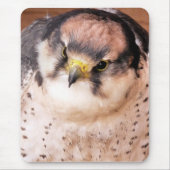 LANNER FALCON MUISMAT (Voorkant)