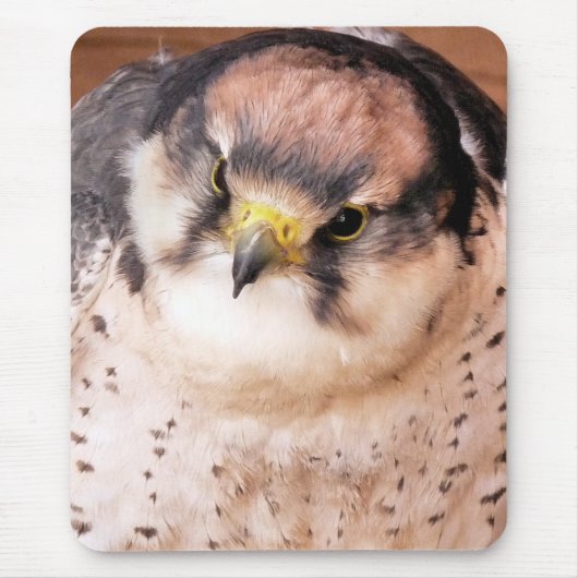 LANNER FALCON MUISMAT (Voorkant)