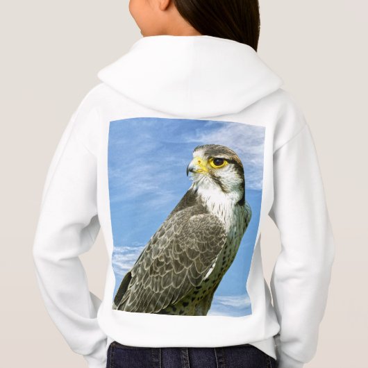 Lanner Falcon neergestreken (Achterkant)