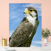 Lanner Falcon neergestreken Acryl Bord (Huwelijk)