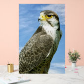 Lanner Falcon neergestreken Acryl Bord (Huwelijk)