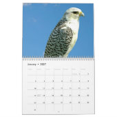 Lanner Falcon neergestreken Kalender (Jan 2027)