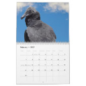 Lanner Falcon neergestreken Kalender (Feb 2027)
