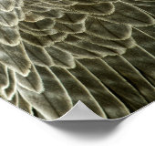 Lanner Falcon neergestreken Poster (Hoek)