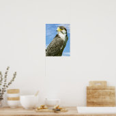 Lanner Falcon neergestreken Poster (Keuken)