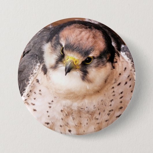 LANNER FALCON RONDE BUTTON 7,6 CM (Voorkant)