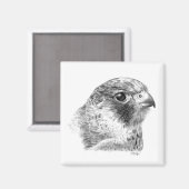 Lanner Falcon Tekening Magneet (Voorkant / Achterkant)