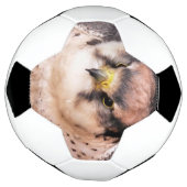 LANNER FALCON VOETBAL (Gedraaid)
