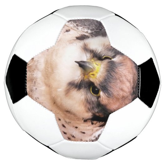 LANNER FALCON VOETBAL (Gedraaid)