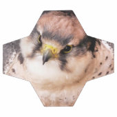 LANNER FALCON VOETBAL (Enkel)