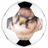 LANNER FALCON VOETBAL (Voorkant)