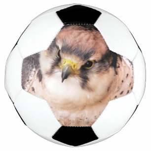 LANNER FALCON VOETBAL