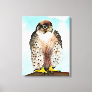 Lanner Falcon Waterverf schilderen Canvas Afdruk