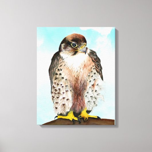 Lanner Falcon Waterverf schilderen Canvas Afdruk (Voorkant)