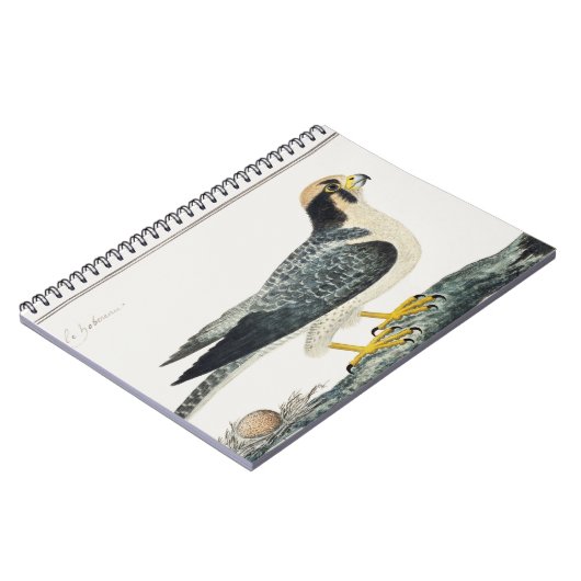 Lannervalk | Hawk | Illustratie vogels Notitieboek (Linkerzijde)