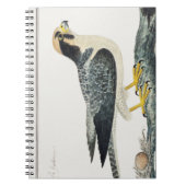 Lannervalk | Hawk | Illustratie vogels Notitieboek (Voorkant)