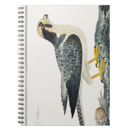 Lannervalk | Hawk | Illustratie vogels Notitieboek