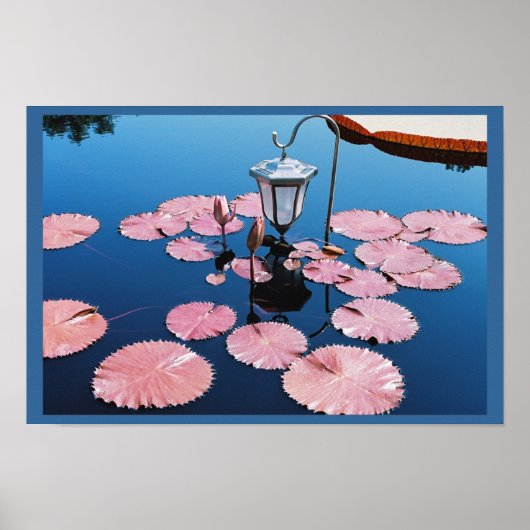 Lantaarn over Lilies Poster (Voorkant)