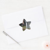 Lantaarn van licht ster sticker (Envelop)