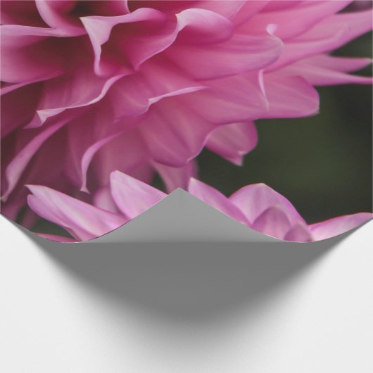 lantaarnbloem cadeaupapier (Hoek)