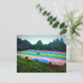 Lantaarns bij Seokguram Grotto, Zuid-Korea Briefkaart (Staand voorkant)