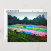 Lantaarns bij Seokguram Grotto, Zuid-Korea Briefkaart (Voorkant / Achterkant)