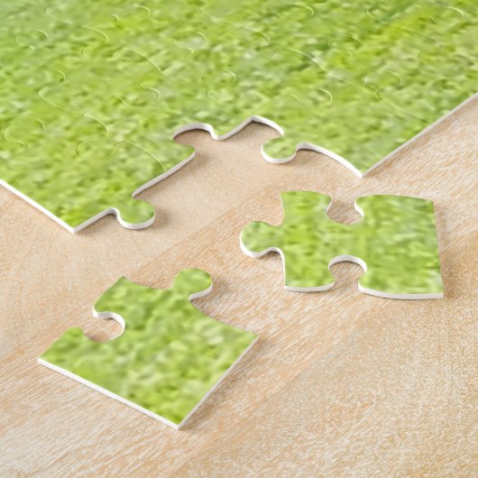 Lantaarns in Cloisters Bryn Mawr Legpuzzel (Zijkant)