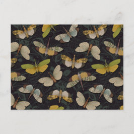 Lantaarnvliegen - Pyrops Candelaria & Andere Plant Briefkaart