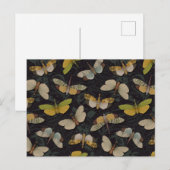 Lantaarnvliegen - Pyrops Candelaria & Andere Plant Briefkaart (Voorkant / Achterkant)