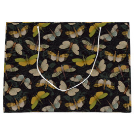 Lantaarnvliegen - Pyrops Candelaria & Andere Plant Groot Cadeauzakje