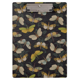 Lantaarnvliegen - Pyrops Candelaria & Andere Plant Klembord