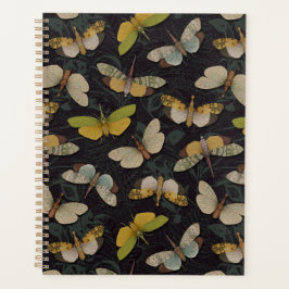 Lantaarnvliegen - Pyrops Candelaria & Andere Plant Planner