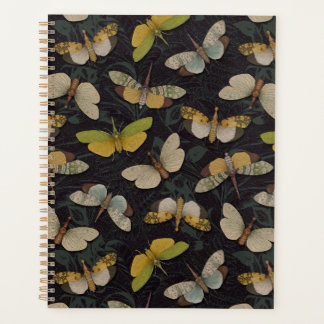 Lantaarnvliegen - Pyrops Candelaria & Andere Plant Planner