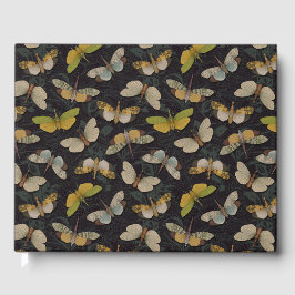 Lantaarnvliegen - Pyrops Candelaria & Planthoppers Gastenboek