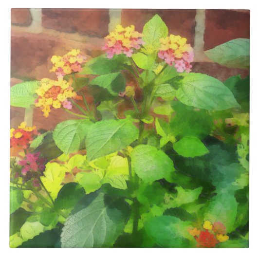 Lantana Against Brick Wall Tegeltje (Voorkant)